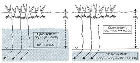 CO2に対する開放系（左）と閉鎖系（右）のカルサイト溶解のフィールドスケッチ