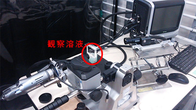 CO2溶解水の撮影状況2