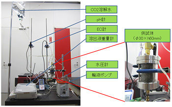 カラム通液試験全景(左)と砂岩試料(右)